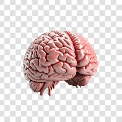 3D Render Cérebro Neurociência Elemento Ícone Psd Png