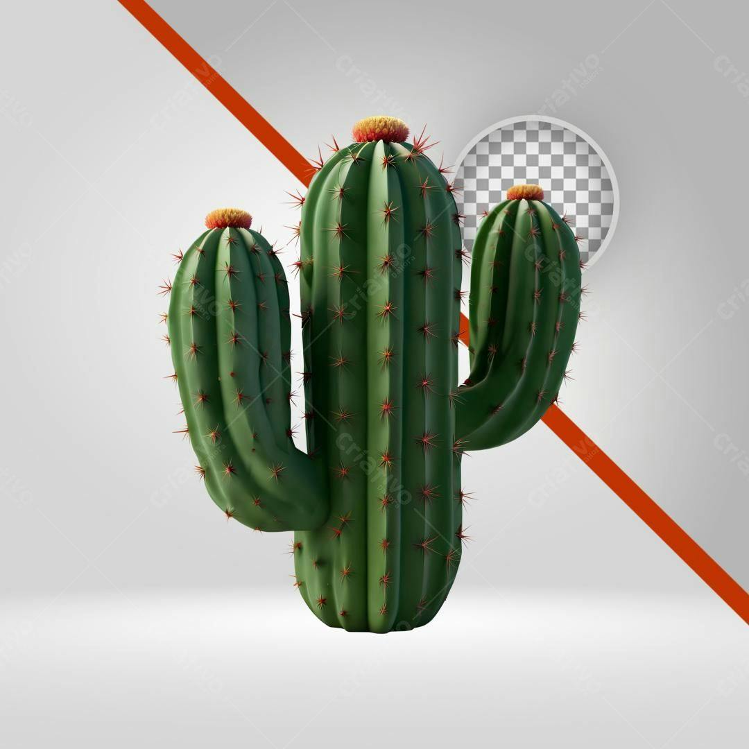 Icone Cacto PNG com fundo transparente