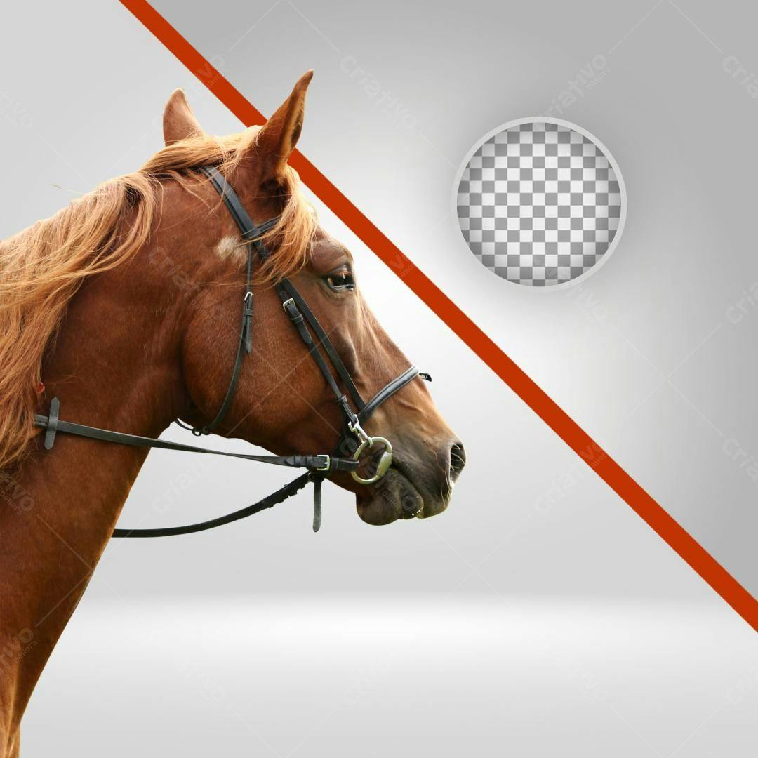 Icone Cavalo Marrom PNG com fundo transparente