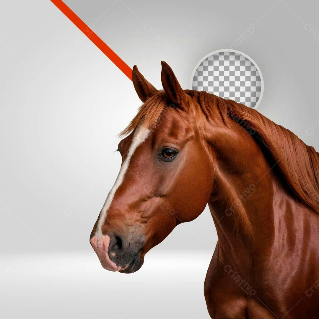 Imagem Cavalo Marrom PNG com fundo transparente