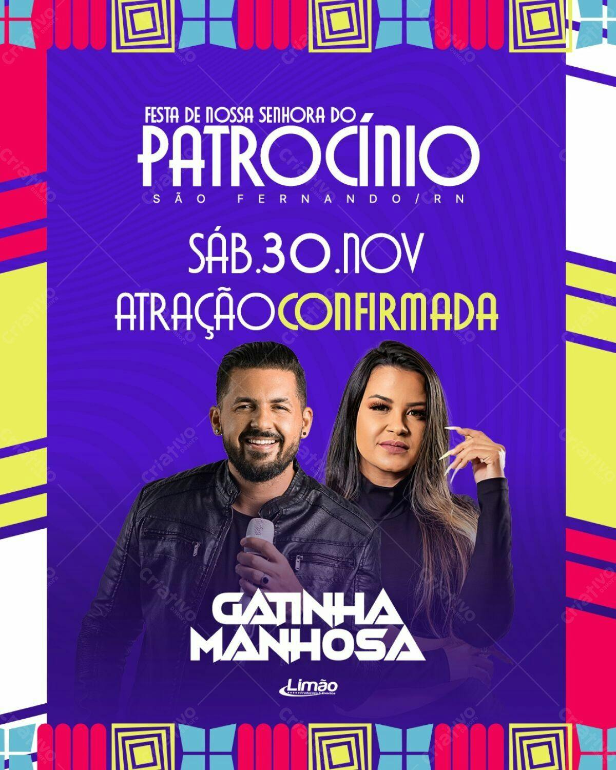 Flyer Festa Nossa Senhora do Patrocínio PSD Editável