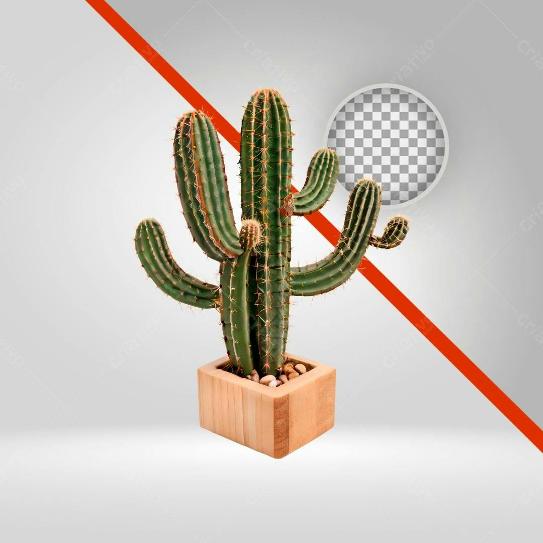 Icone Cacto em Vaso Madeira PNG com fundo transparente