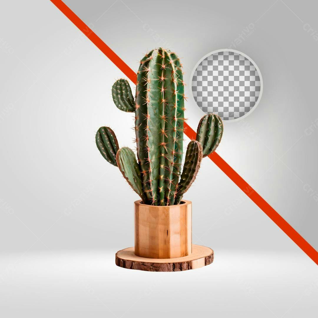 Icone Cacto em Vaso Madeira PNG com fundo transparente