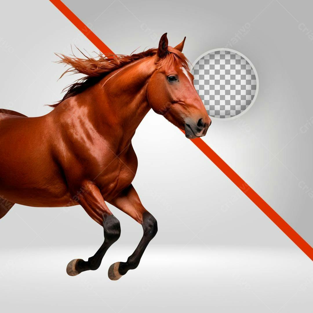 Imagem Cavalo Castanho PNG com fundo transparente