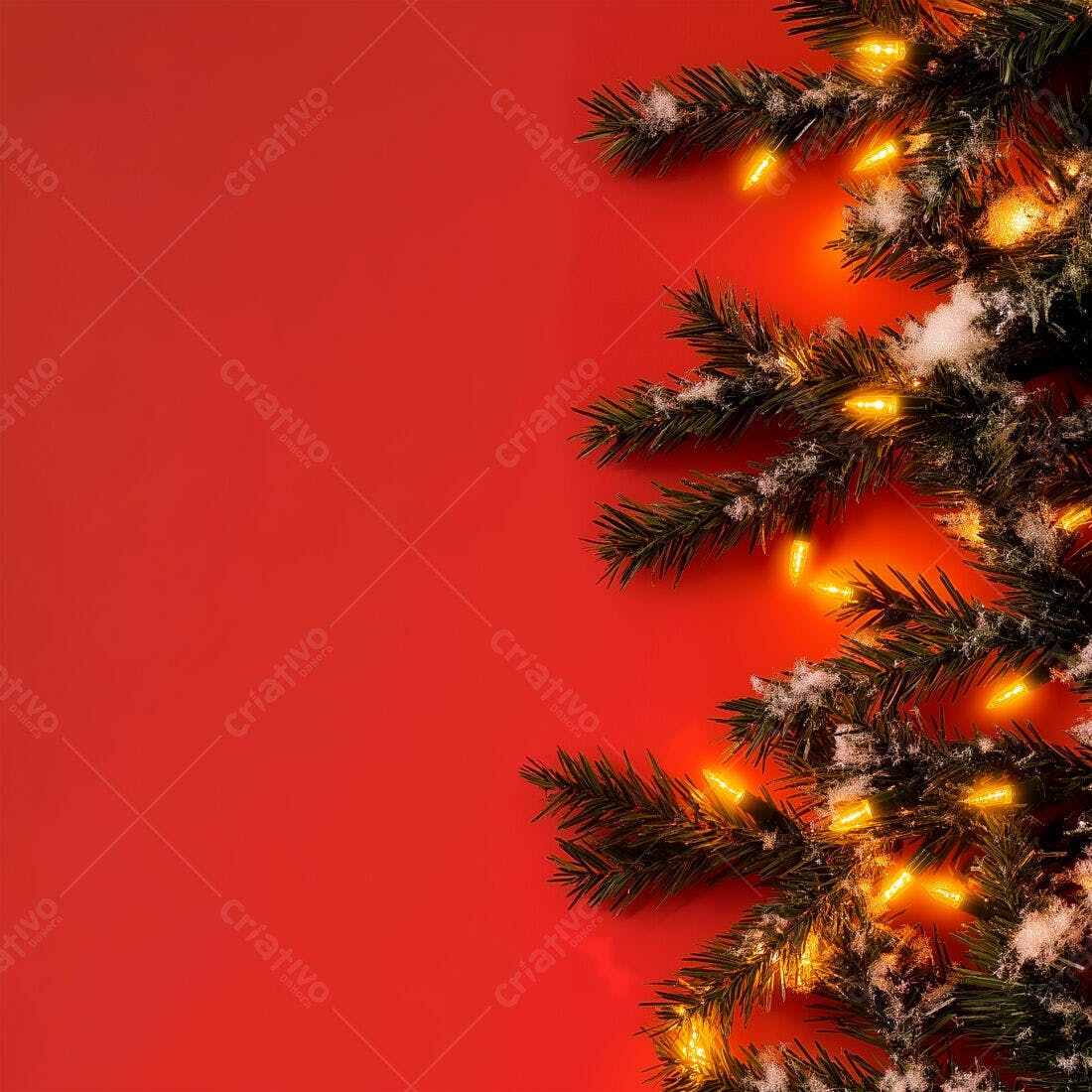 Ramos de Pinheiro com Luzes de Natal