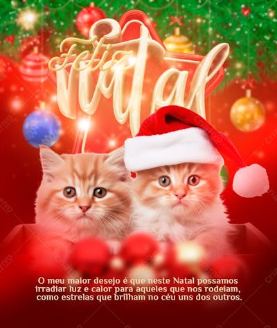 Irradie Luz E Calor A Todos Neste Natal