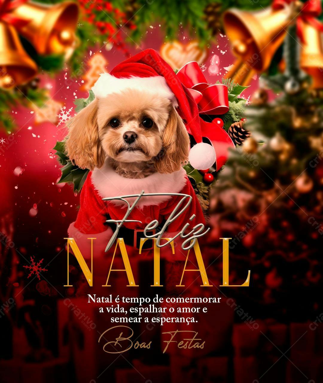 Flyer Natal com Cachorro PSD Editável