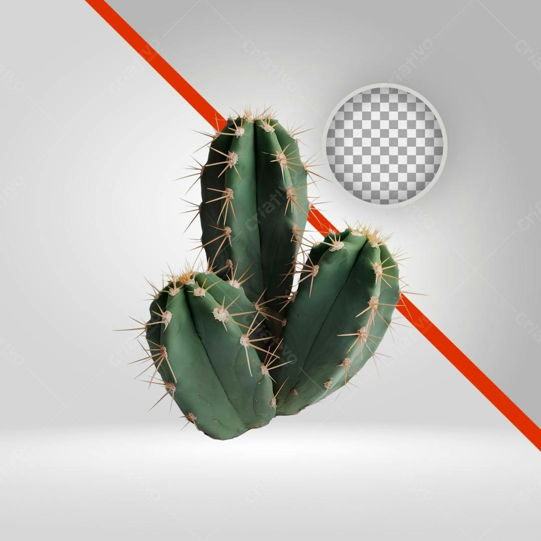 Icone Cacto Verde PNG com fundo transparente