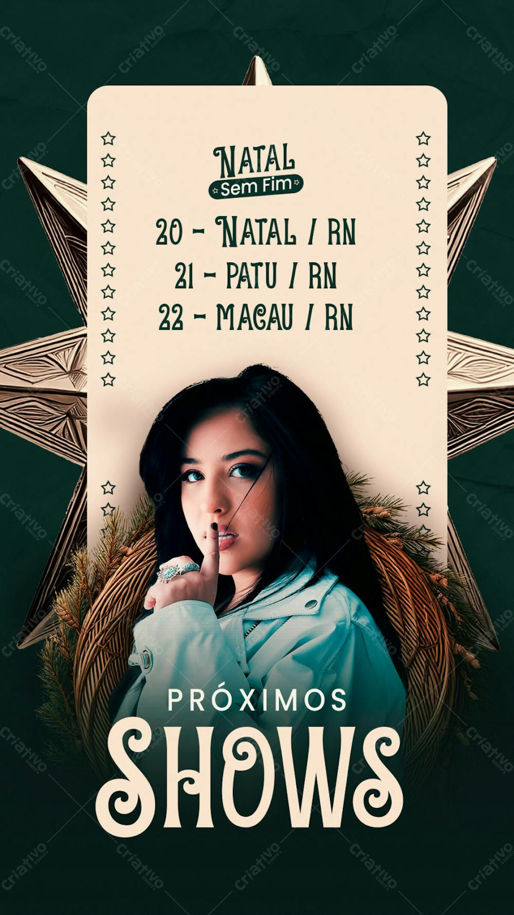 Agenda De Show Natal Mari Fernandez Story Psd Editavel