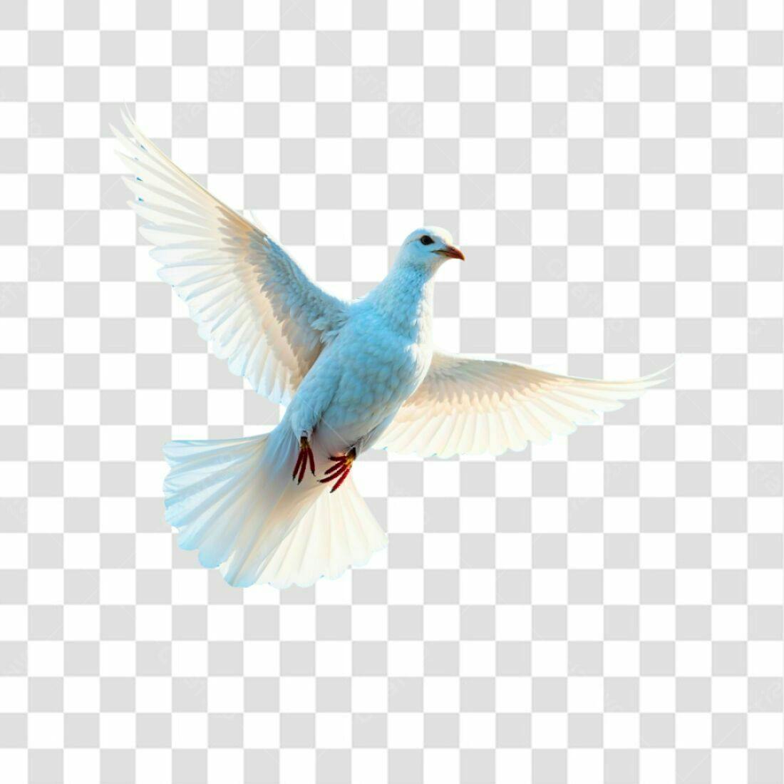 Ícone Pomba Paz PNG com fundo transparente