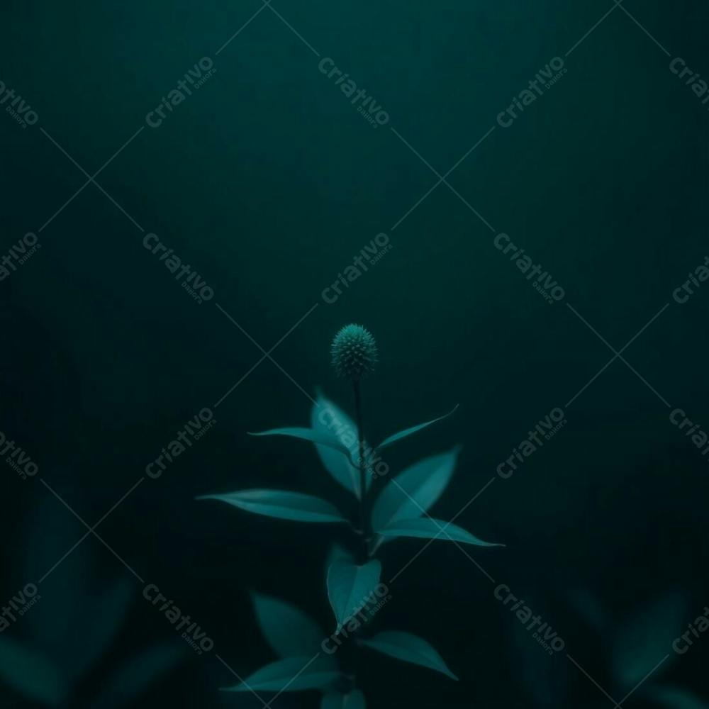 A Photorealistic Image Of Nature In Rich Deep Teal, Luxurious And Vibrant, Featuring A Minimalist Composition With A Single Dominant Element In Sharp Focus