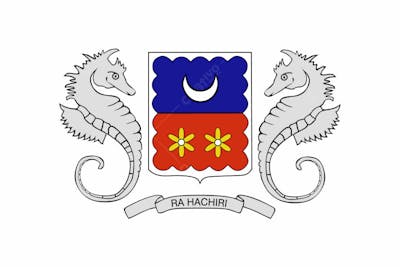 Maiote Latest Country Original Flag