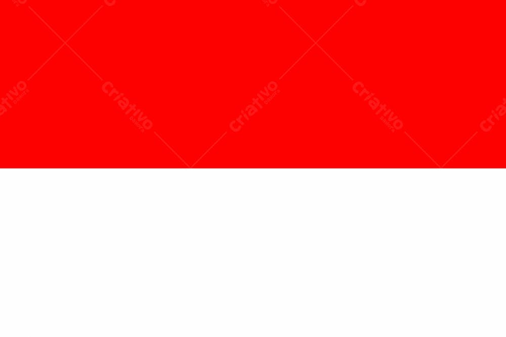 Indonésia Latest Country Original Flag