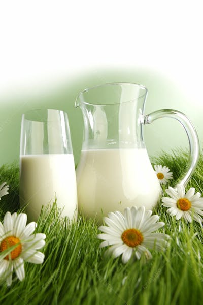 Imagem De Alimentos E Vegetais Fundo Branco