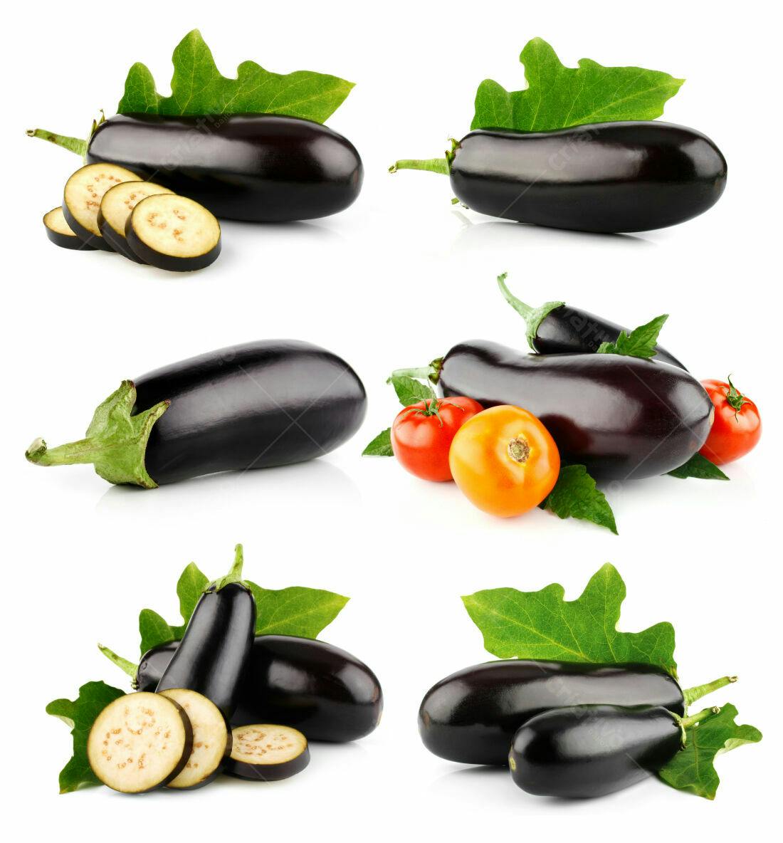 Berinjelas frescas com tomates