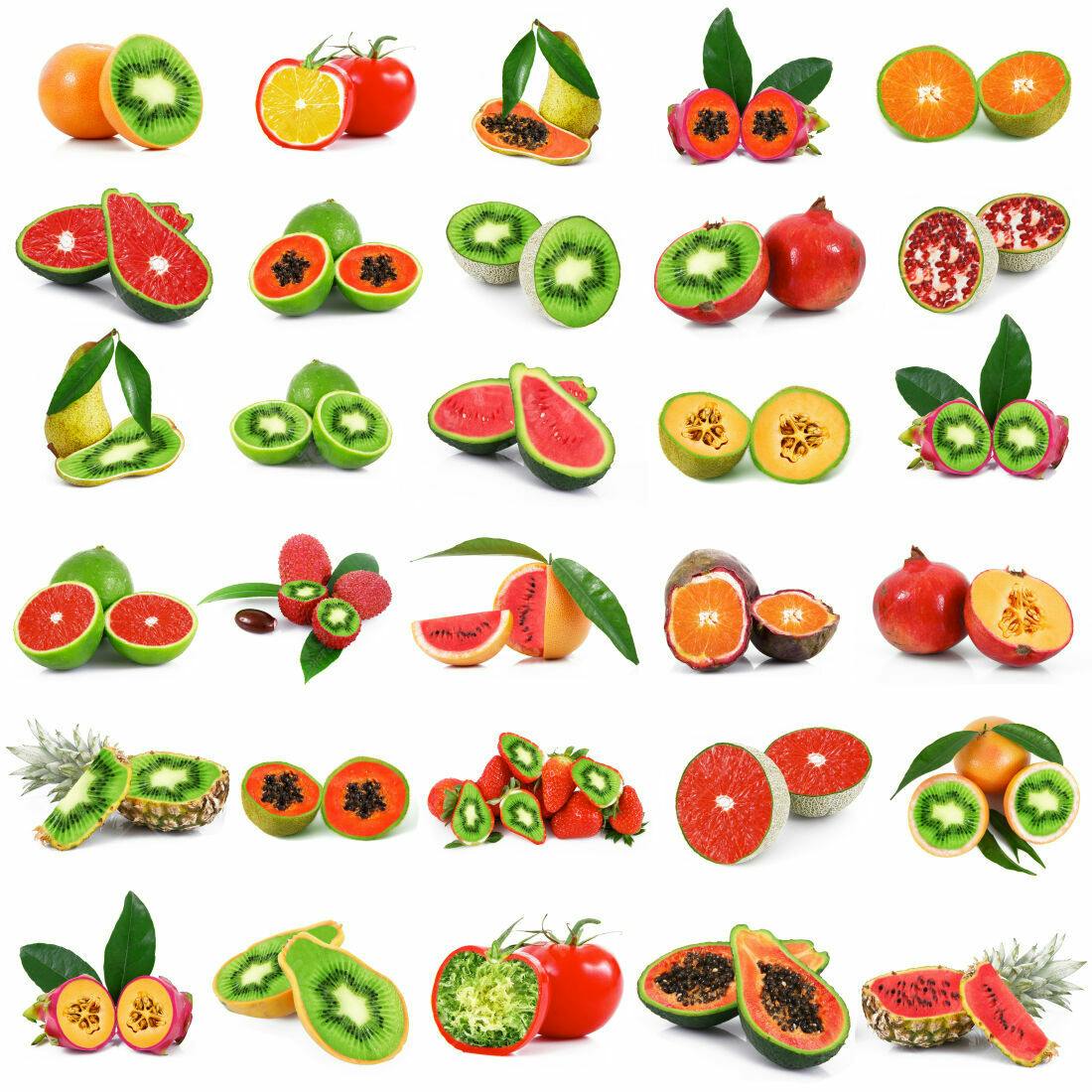 Coleção de Frutas Tropicais e Cítricas