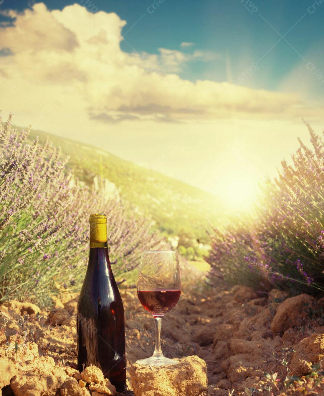 Vinho tinto em campo de lavanda ao pôr do sol