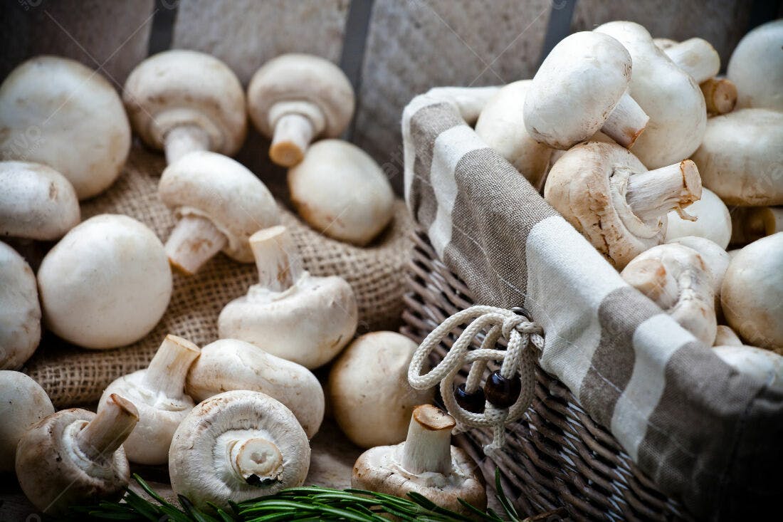 Cogumelos brancos em cesta de vime