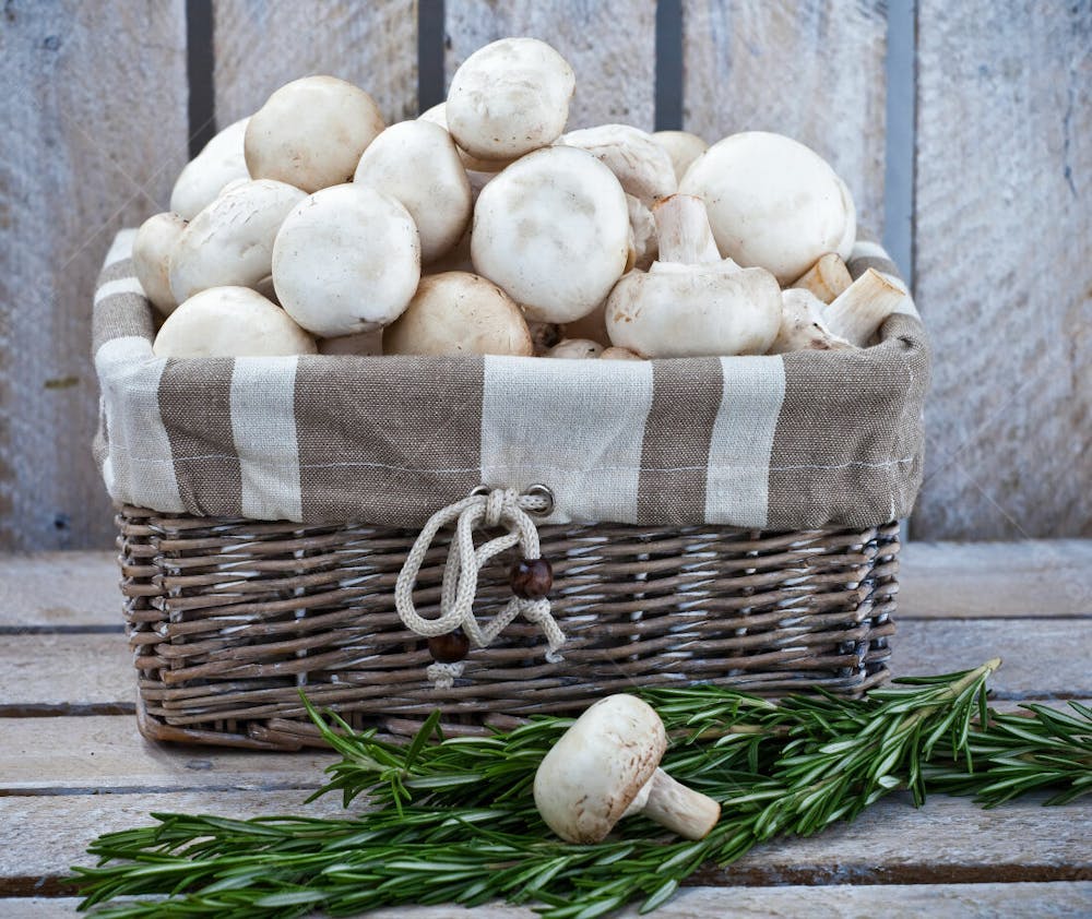 Imagem De Alimentos E Vegetais Fundo Branco