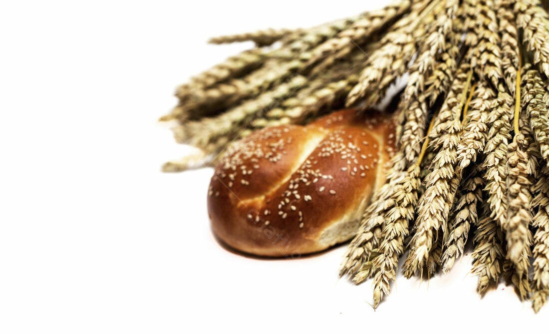 Pão com gergelim e espigas de trigo