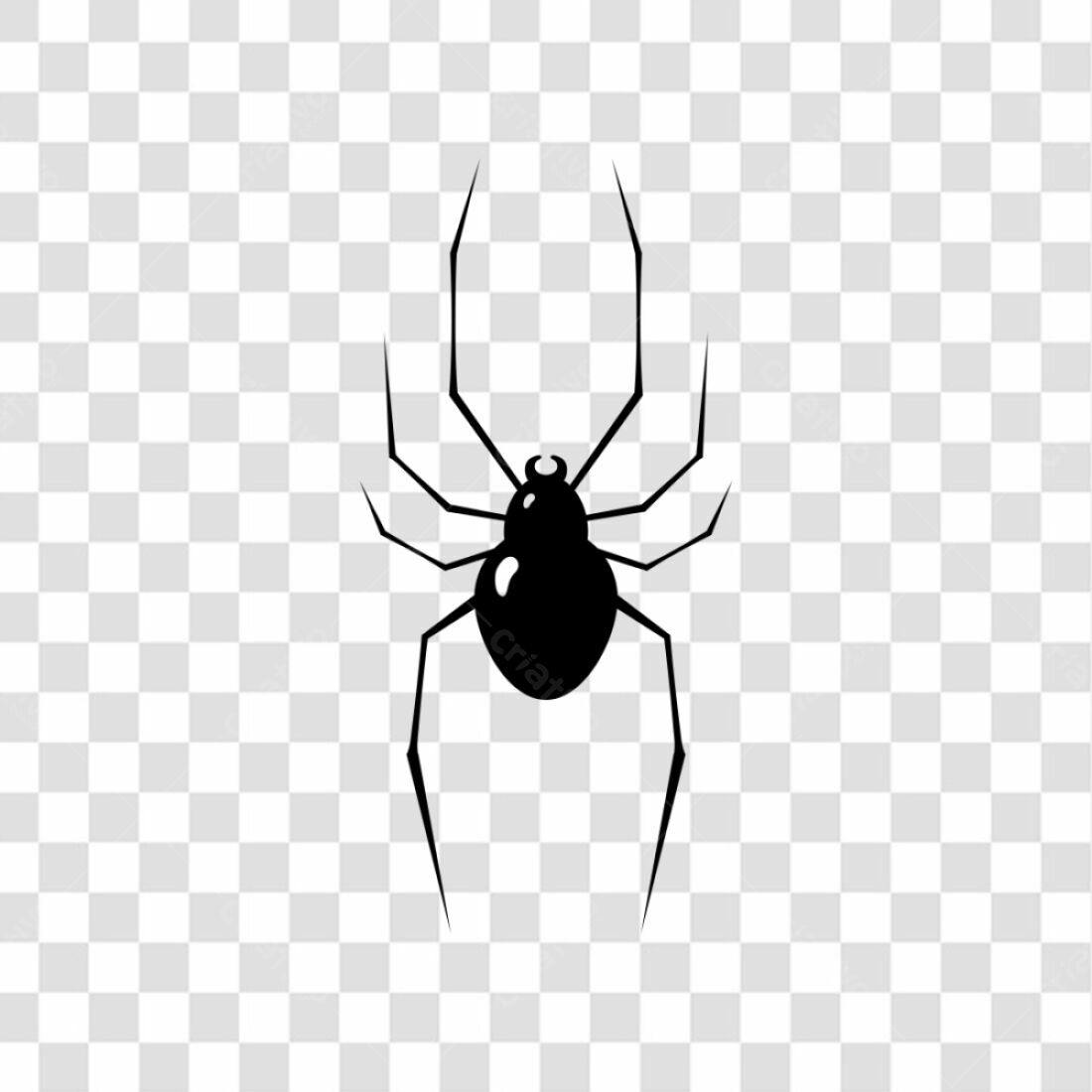 Ícone Aranha Halloween PNG com fundo transparente