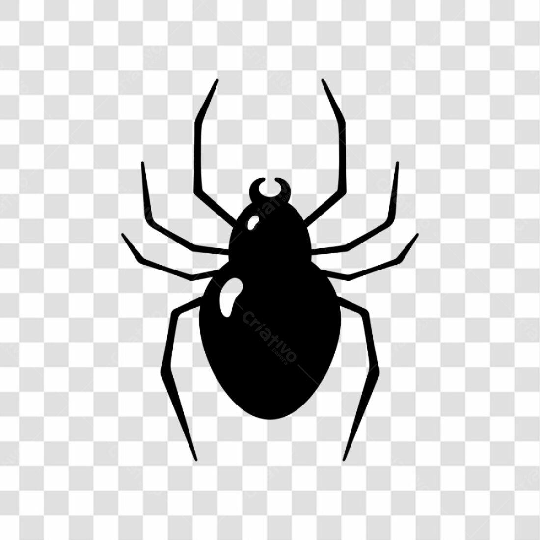 Ícone Aranha Halloween PNG com fundo transparente