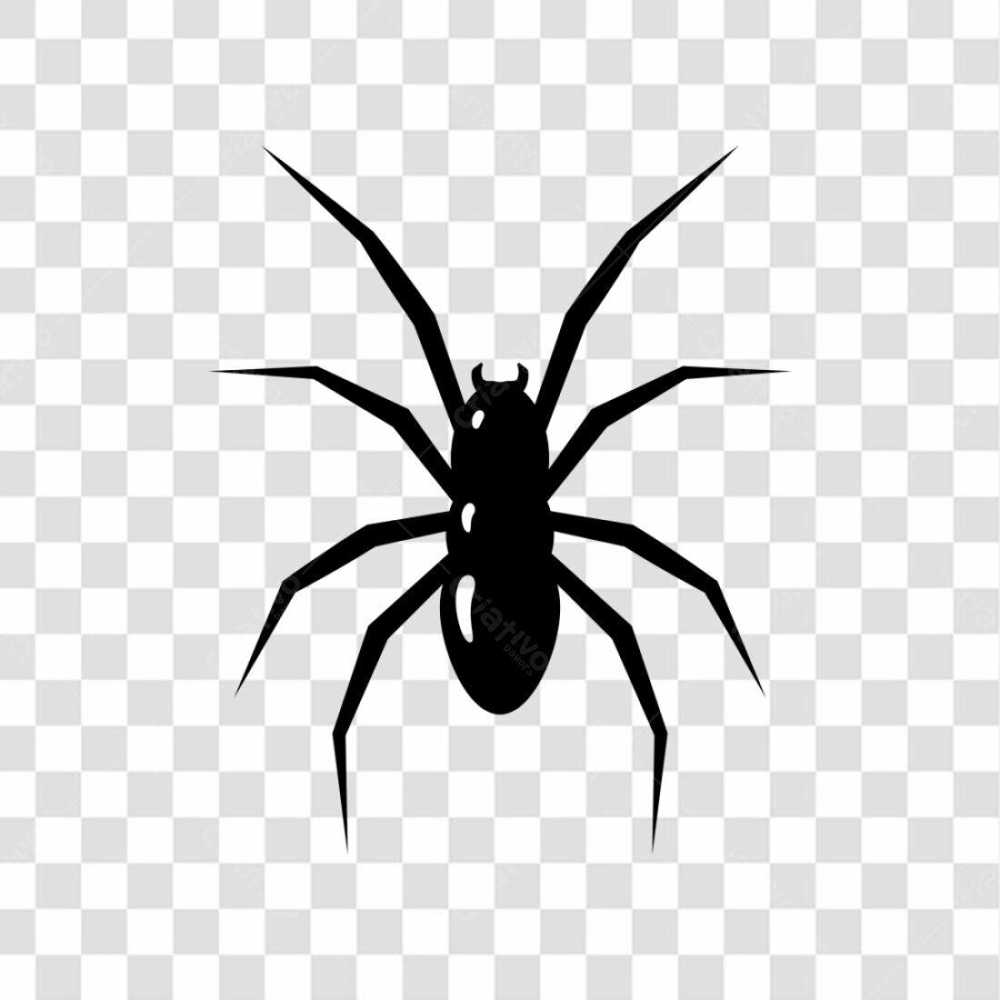 Icone Halloween Aranha PNG com fundo transparente