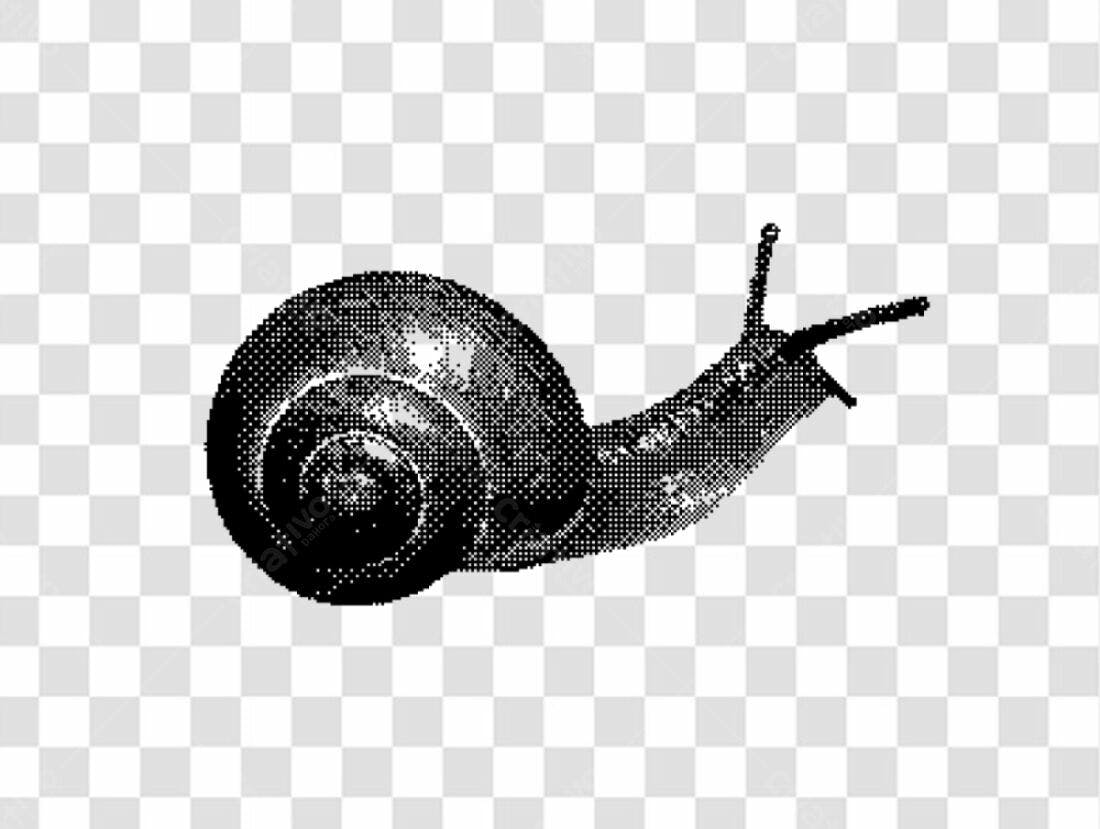 Ícone Caracol PNG com fundo transparente