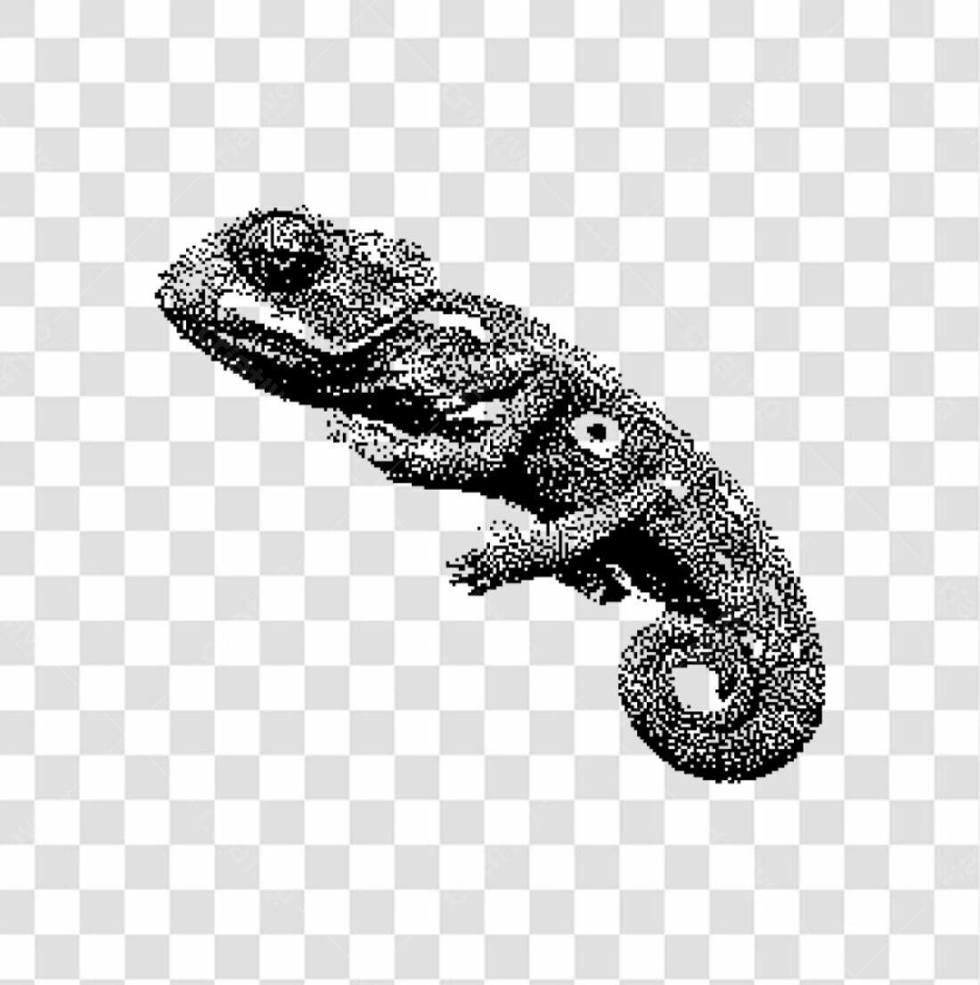 Icone Camaleão PNG com fundo transparente
