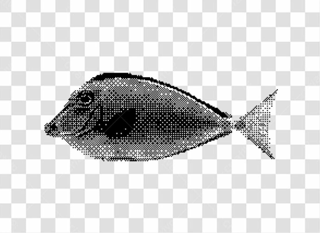 Icone Peixe Monocromático PNG com fundo transparente