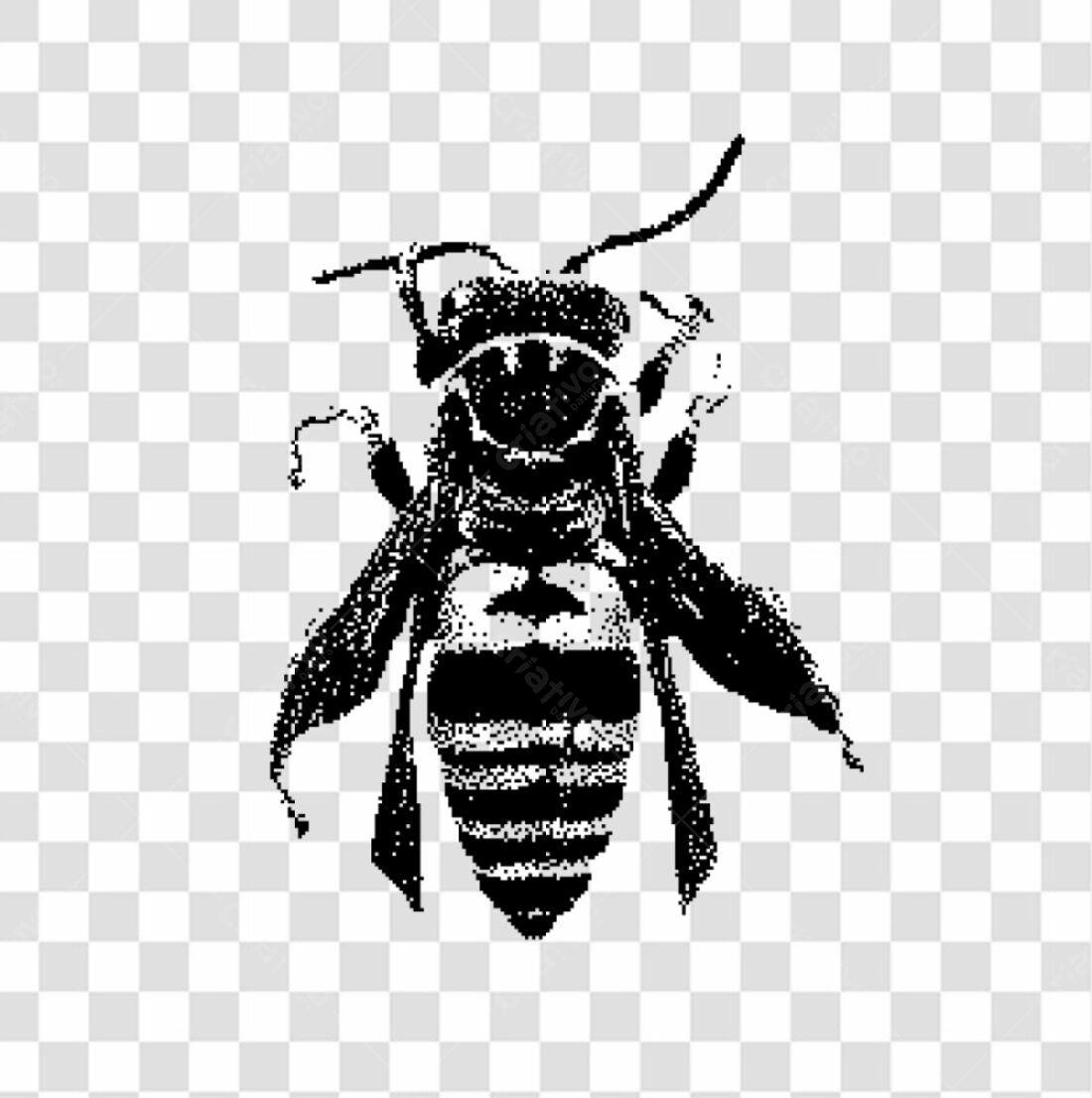 Ícone Abelha PNG com fundo transparente