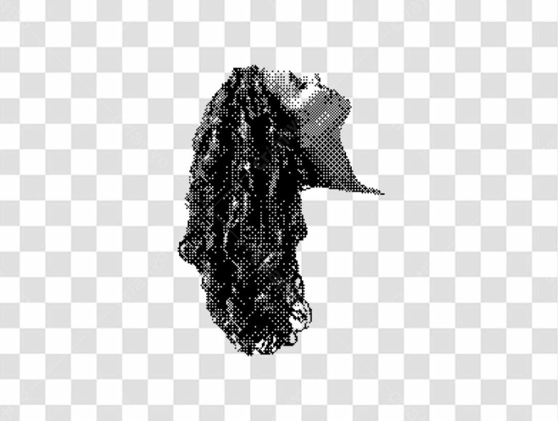 Icone Mulher cabelo longo PNG com fundo transparente