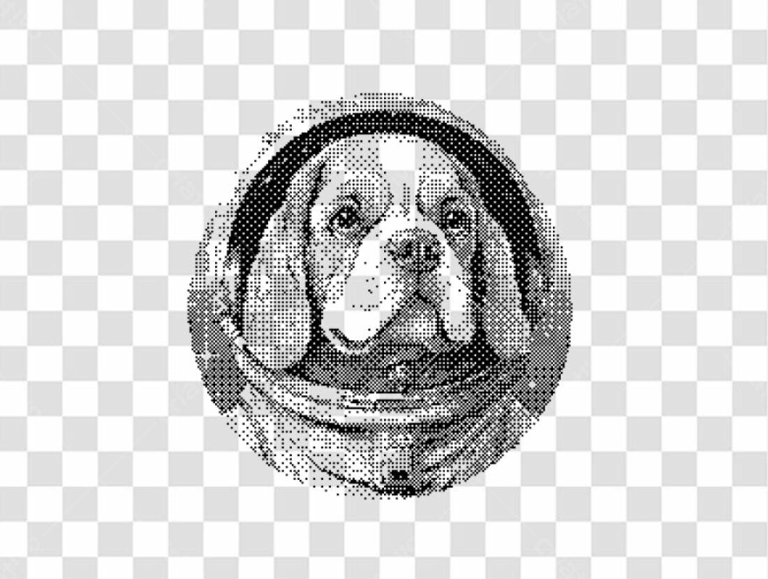 Icone Cachorro Astronauta PNG com fundo transparente