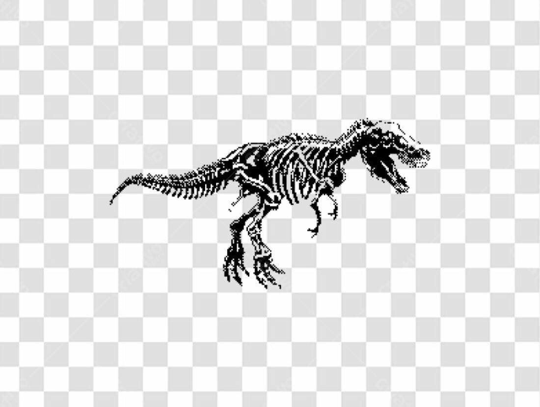 Icone Dinossauro Esqueleto PNG com fundo transparente