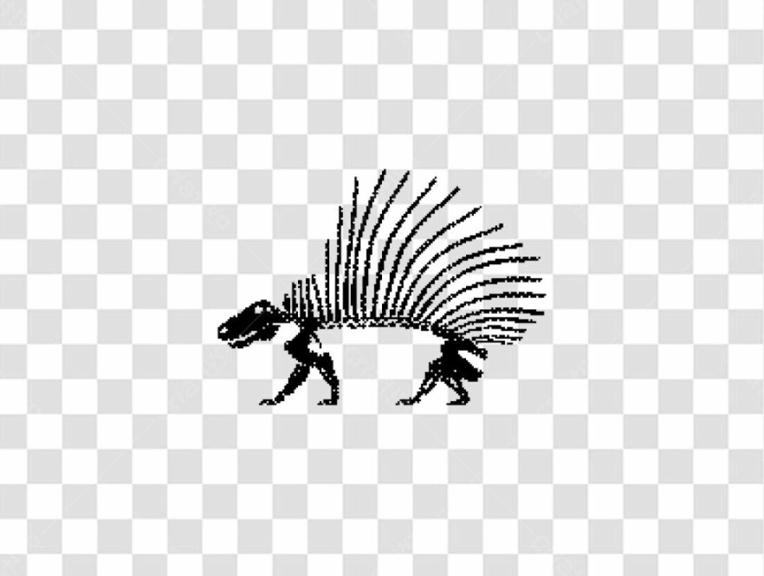 Icone Dinossauro Esqueleto PNG com fundo transparente
