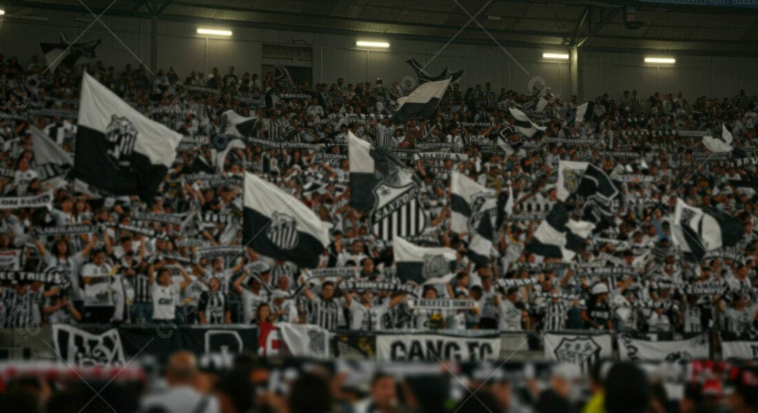 Torcida em estádio com bandeiras preto e branco