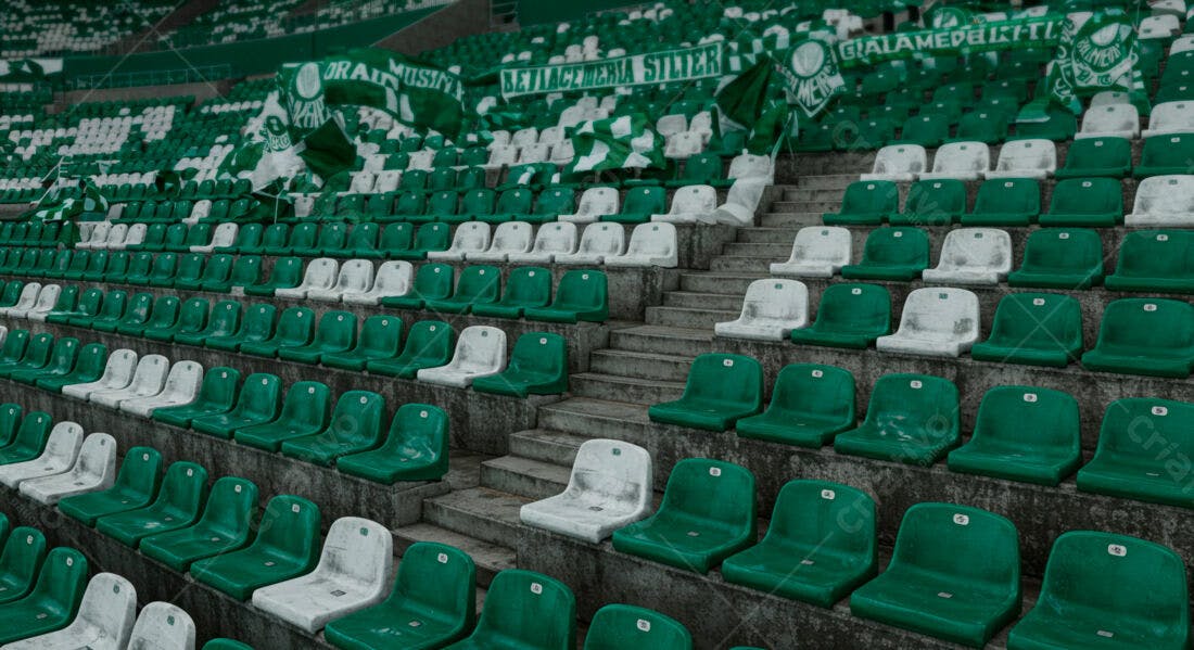Cadeiras de Estádio Vazias Verde e Branco
