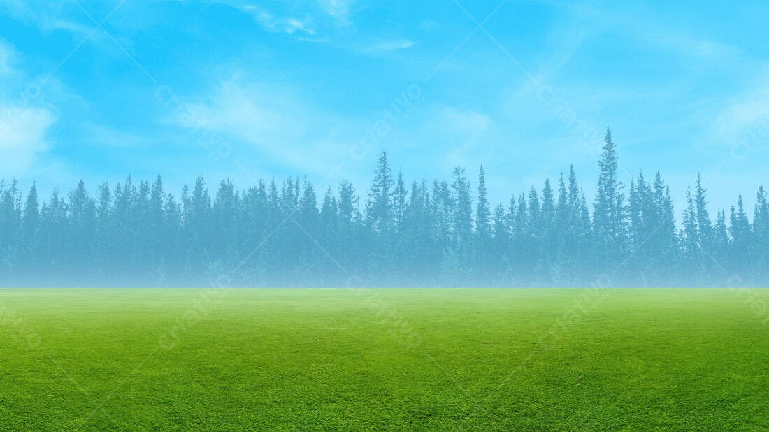 Textura Campo Gramado com Floresta para Fundo
