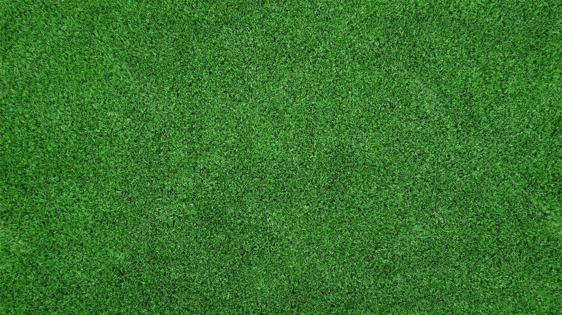 Textura Grama Verde para Fundo