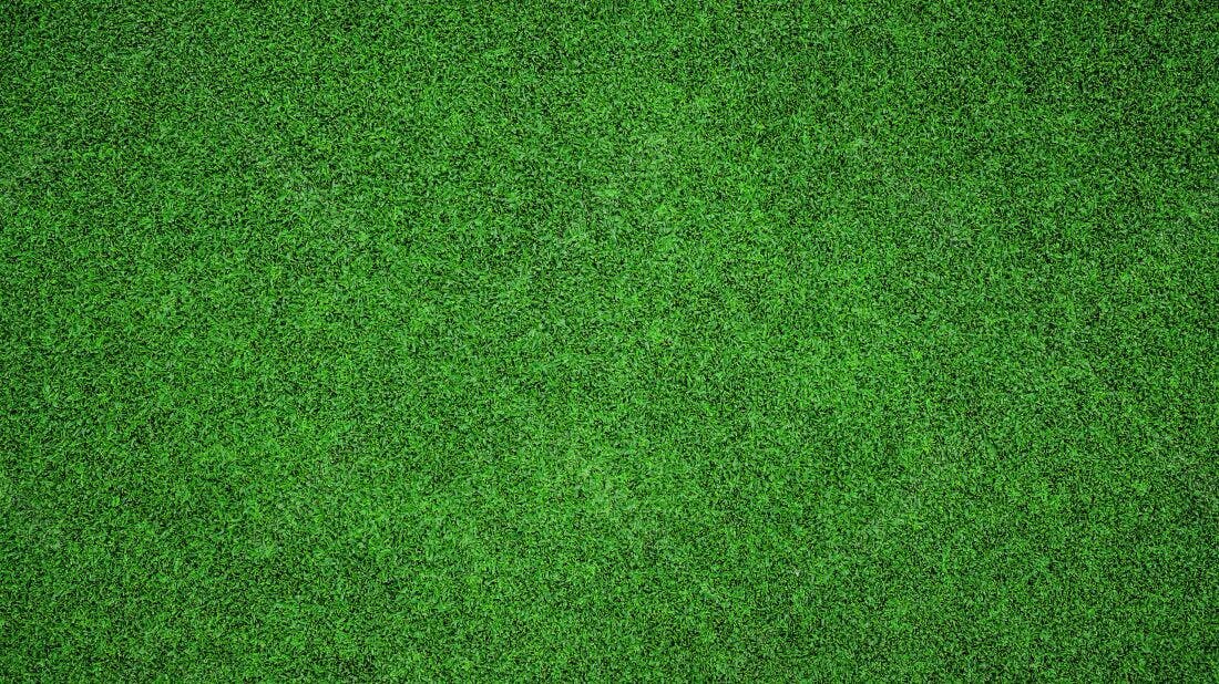 Textura Grama Verde para Fundo