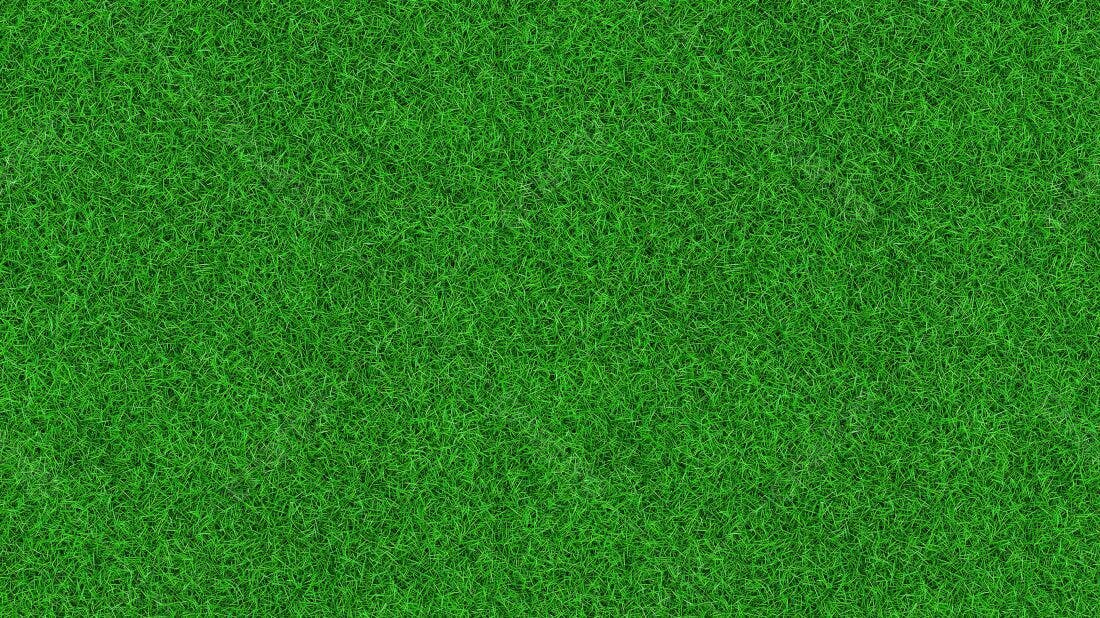 Textura Grama Verde para Fundo