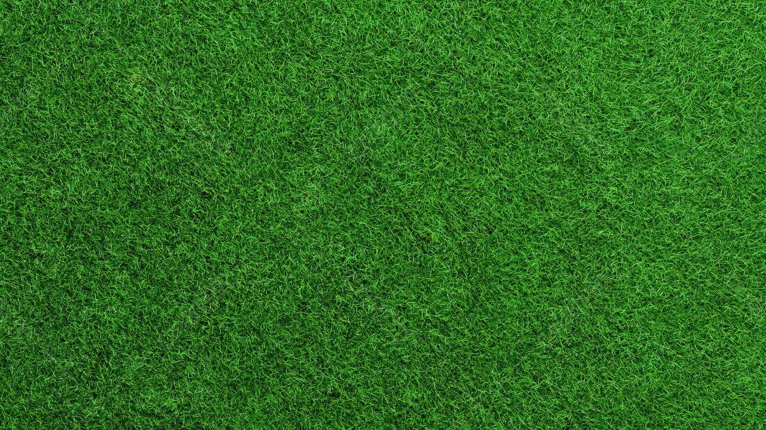 Textura Grama Verde para Fundo