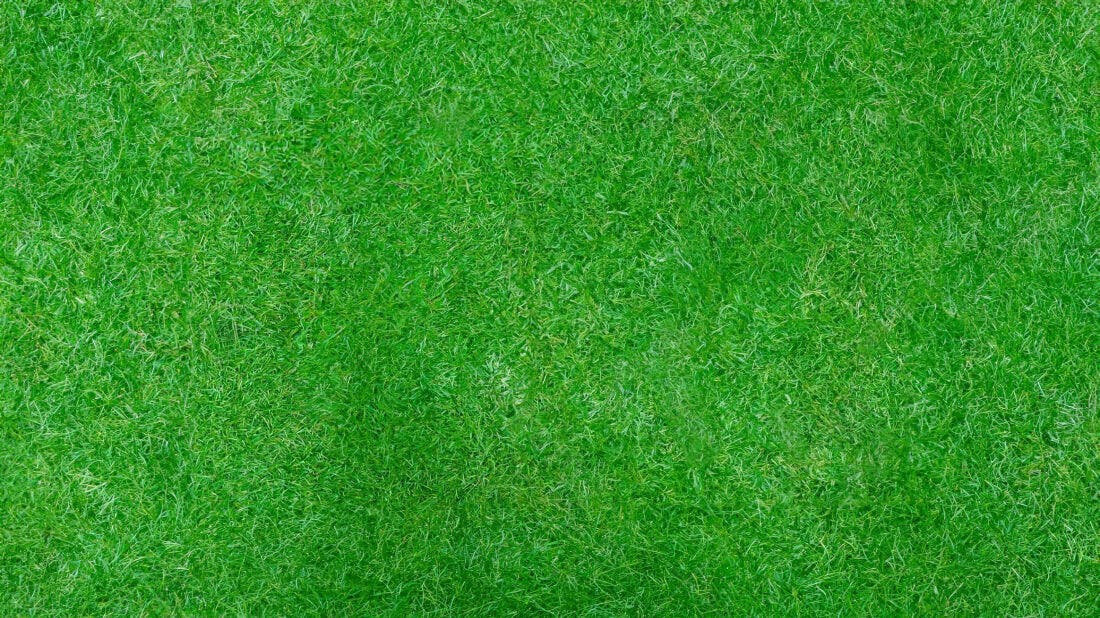 Textura Grama Verde para Fundo