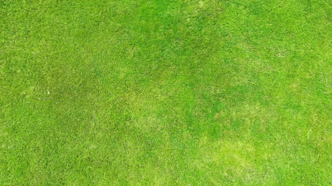 Textura Grama Verde para Fundo