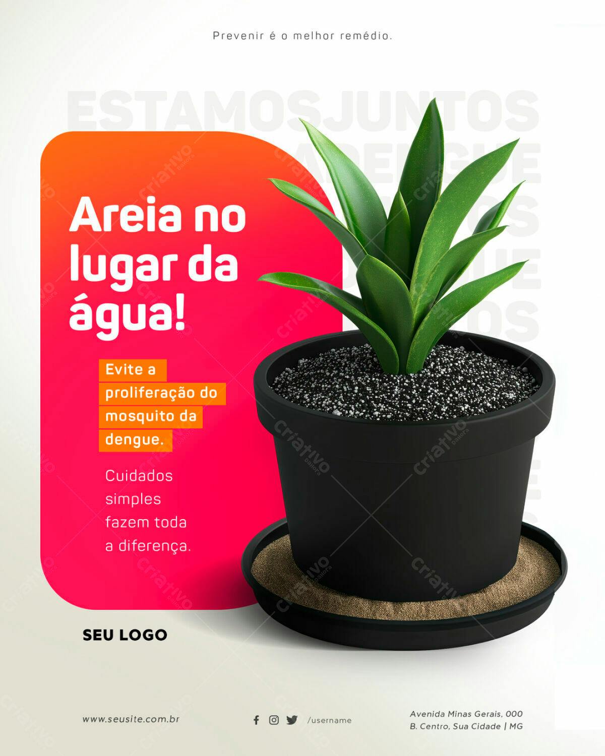 Flyer Combate à Dengue PSD Editável