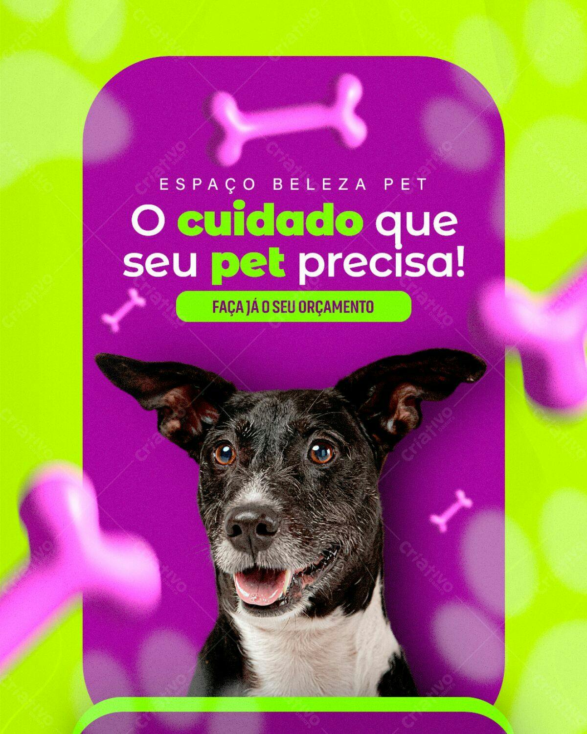 Post para Pet Shop PSD Editável
