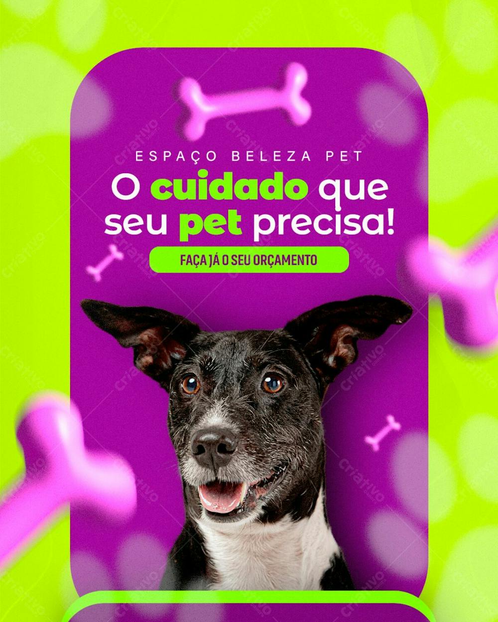 Arte Social Media Petshop Psd Editavel