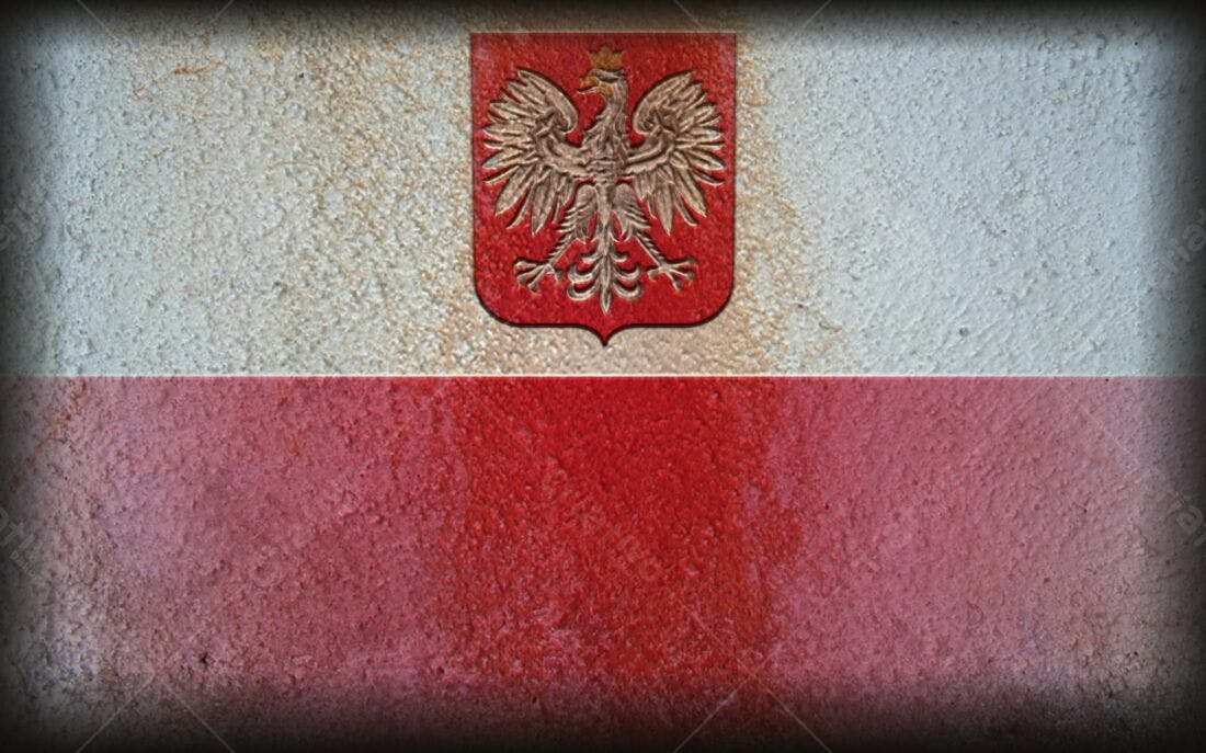 Bandeira Polonesa em textura de parede