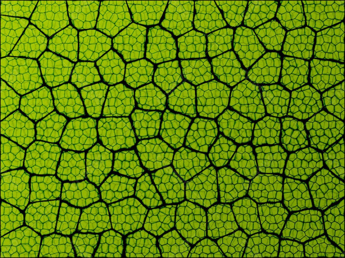 Textura Verde Abstrata em Padrão Geométrico