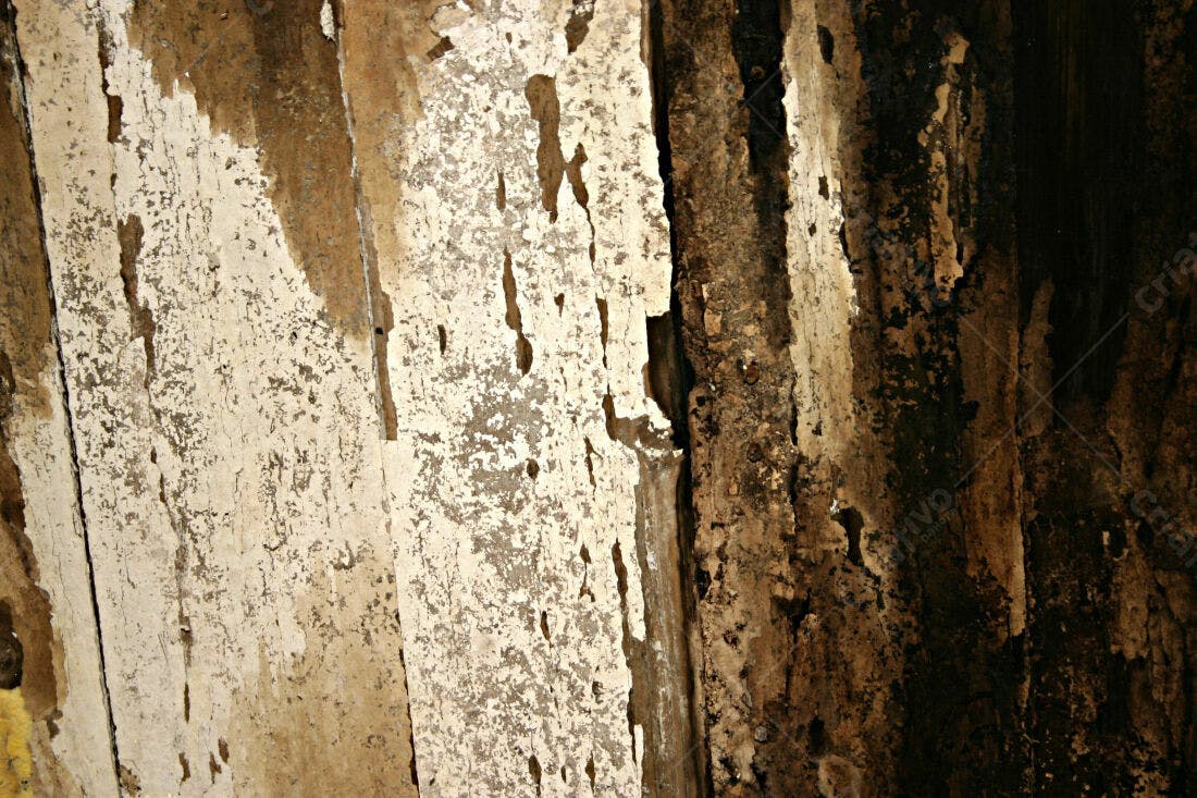 Madeira antiga desgastada tons terrosos